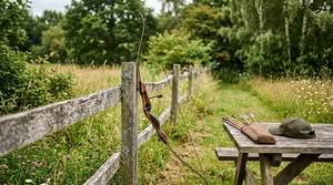 beginner recurve bows 2026