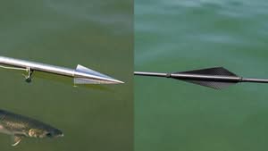 A split image showing a close-up of a fishing spear tip with a fish underwater on the left and a harpoon shaft with fletching on the right, both over green water.