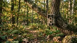 reliable cellular trail cameras