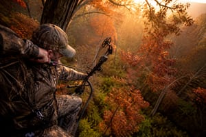 Shooting From a Tree Stand: Angle Adjustments