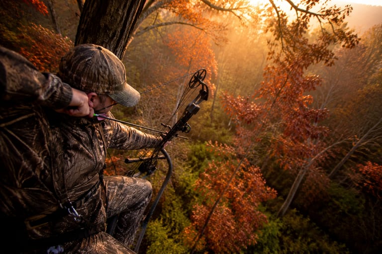 Shooting From a Tree Stand: Angle Adjustments