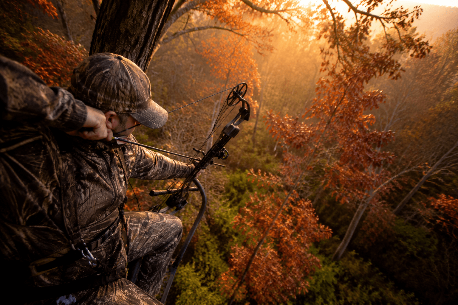 Shooting From a Tree Stand: Angle Adjustments
