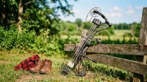 top compound bows under 500